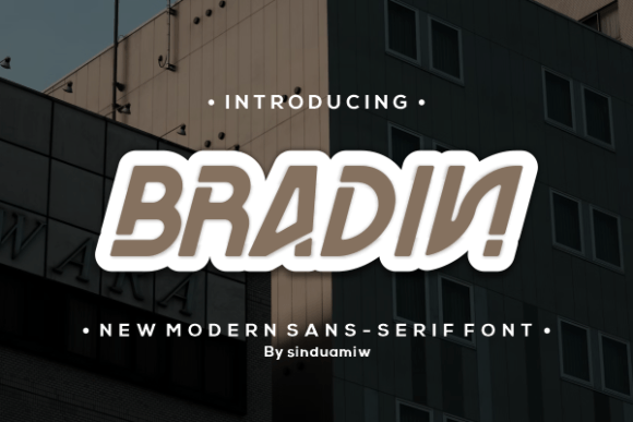 Bradin Font: Modern Sans Serif for Small Business Branding