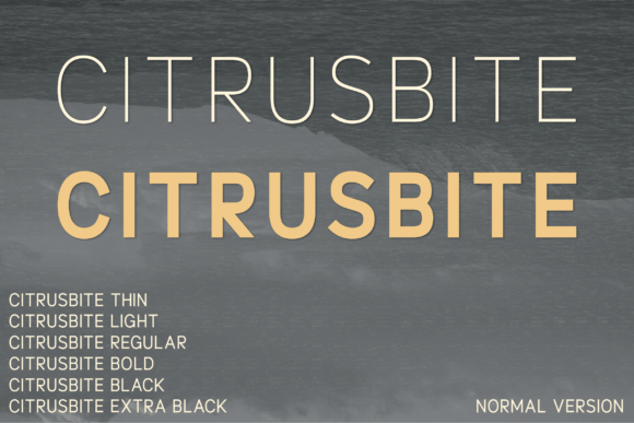 Citrusbite Font Review for Modern Campaigns
