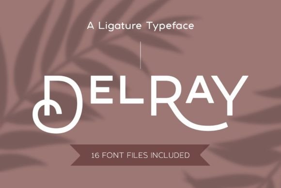 Delray Typeface for Polished Brand Identity