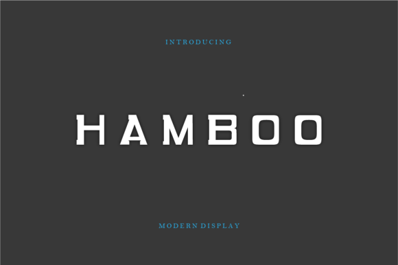 Hambo: The Modern Sans Serif Font for Clear Campaigns