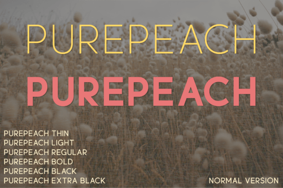 Purepeach: A Modern Sans Serif Font for Web Design